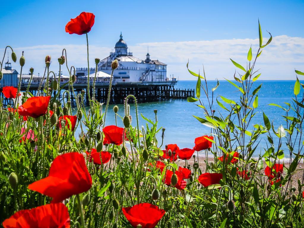 Villa Wendy House Torneo de Torneo de Eastbourne Exterior foto